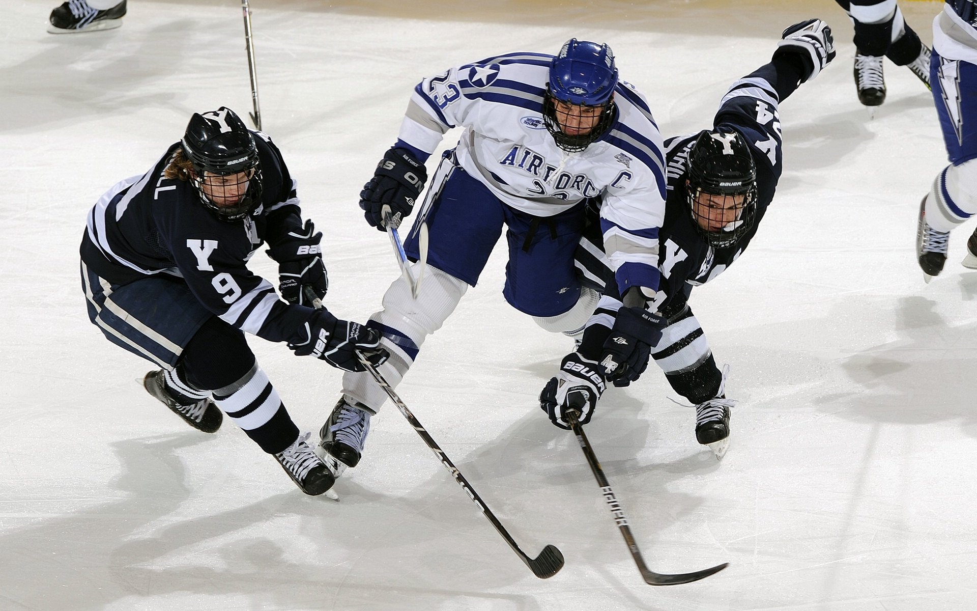 篮球球队年度运营报告
