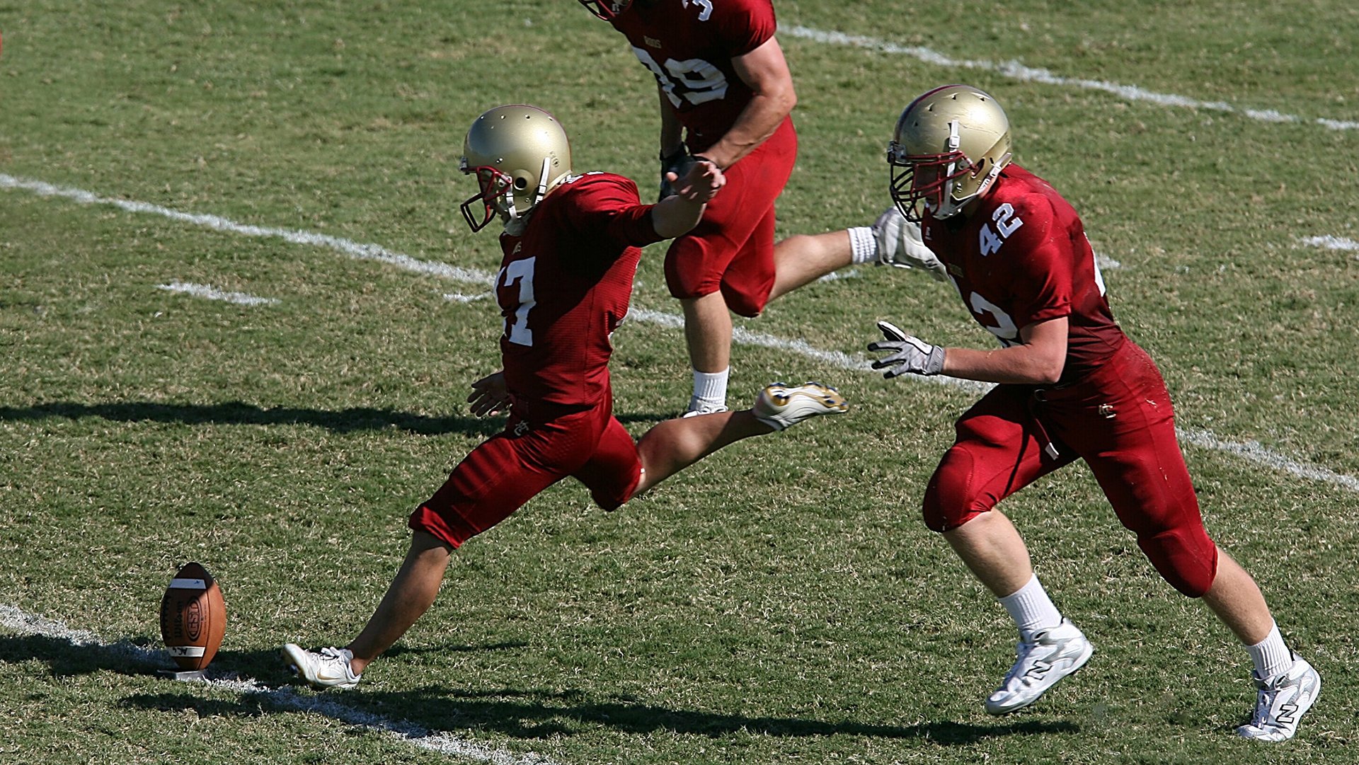 雪橇犬短途拉力赛 萌犬与速度兼具观赏性